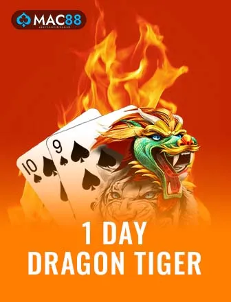 1 DAY DRAGON TIGER